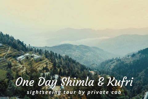 One Day Shimla to Kufri Tour by Car