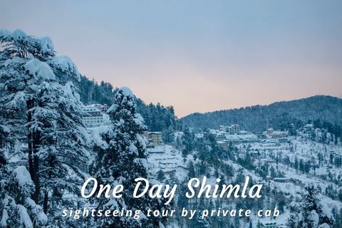 One Day Manali Sightseeing Tour by Car