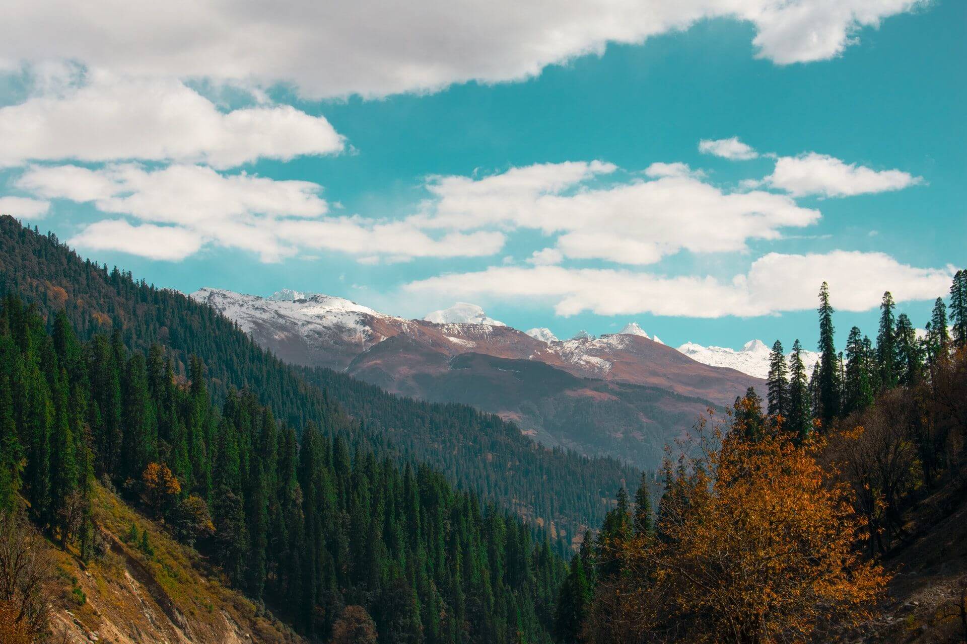 Manali Weather in Summer