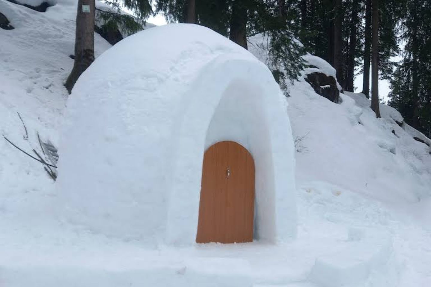Igloo Dugout Manali