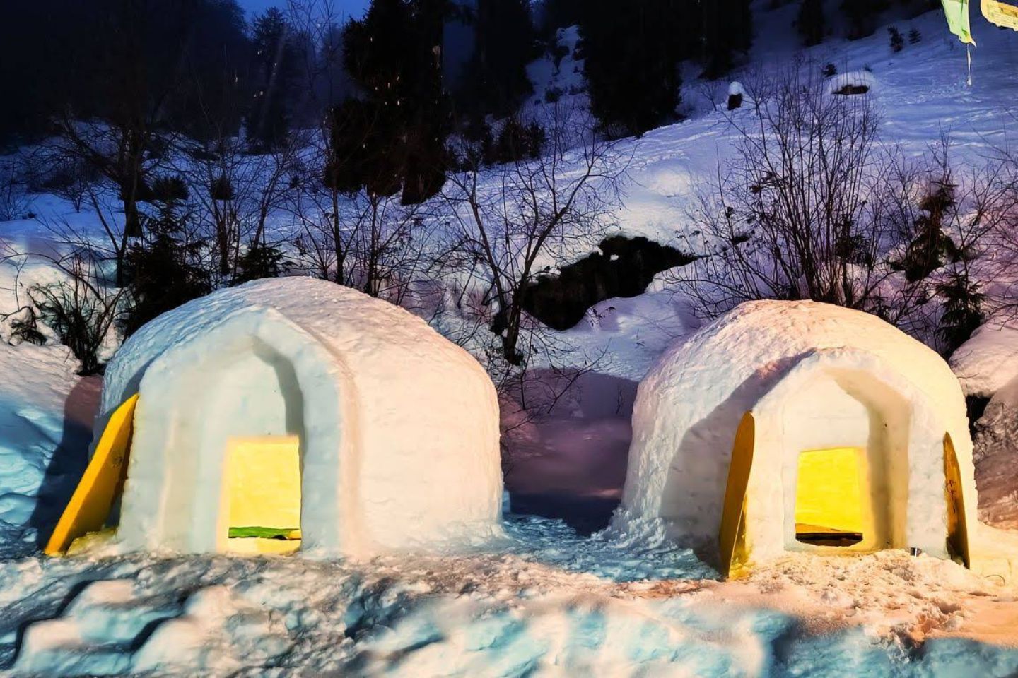 Igloo Stay Sethan Manali